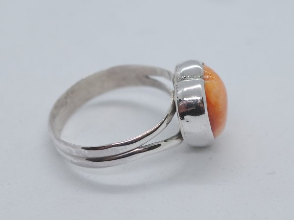 画像3: スパイニーオイスターシェル　ハートリング (3)